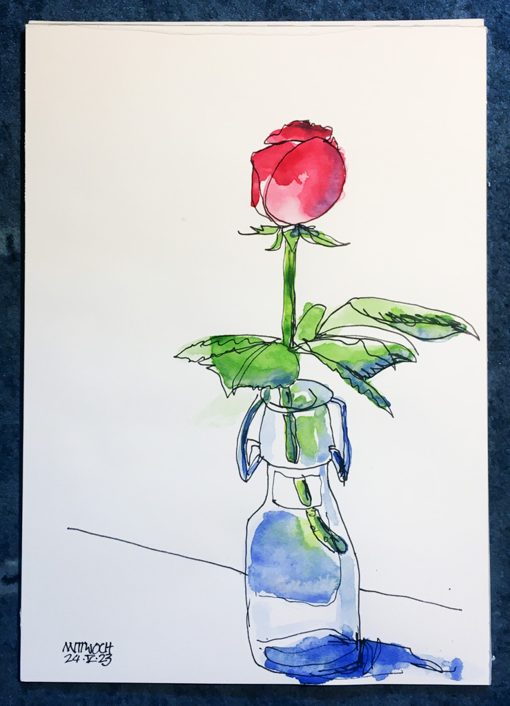 Stillleben: Rose