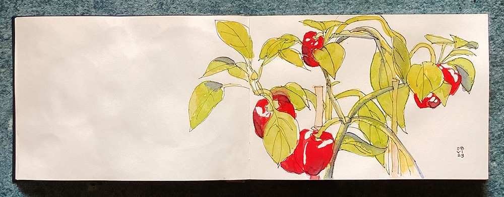 Stillleben: Paprika