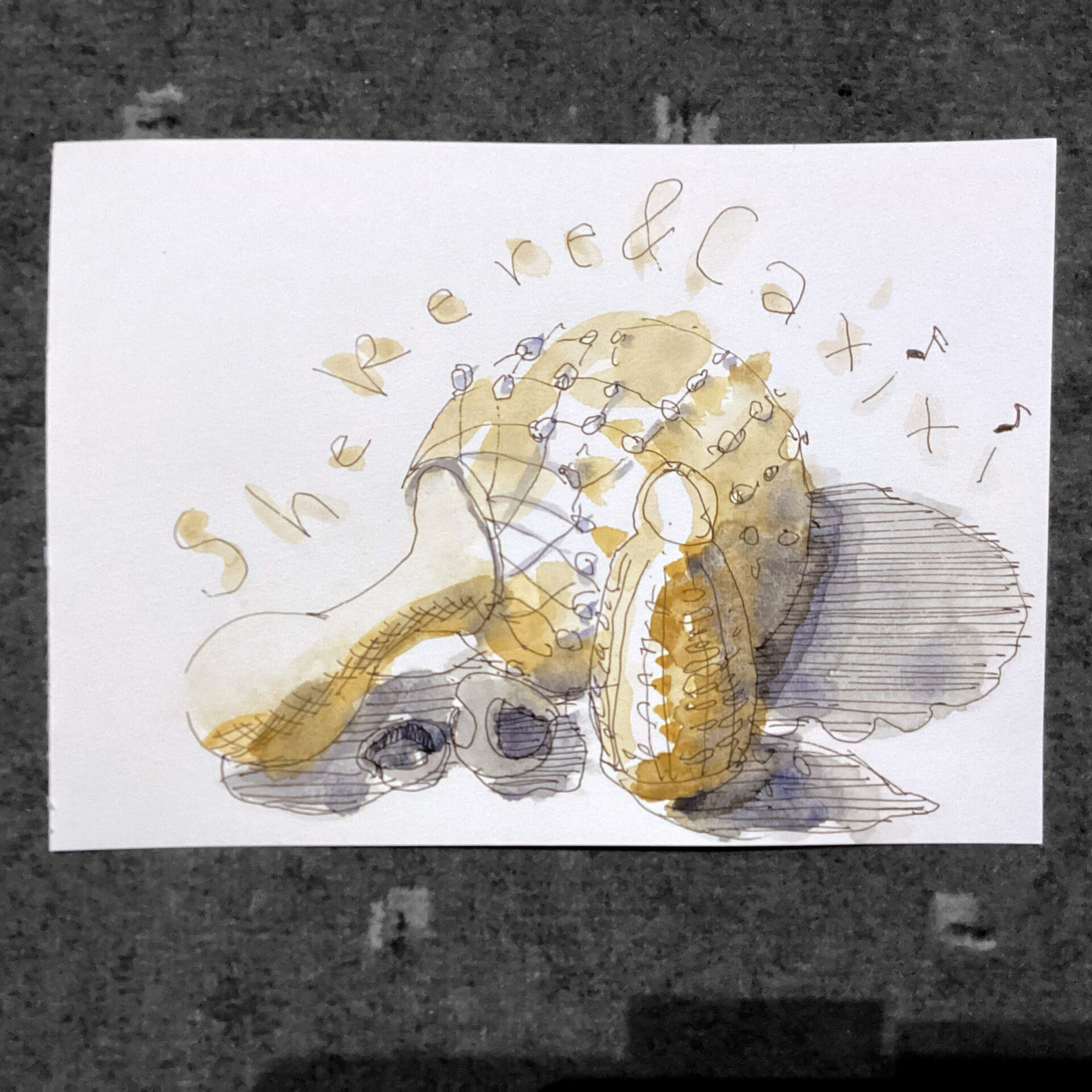 Aquarell Shekere & Caxixi