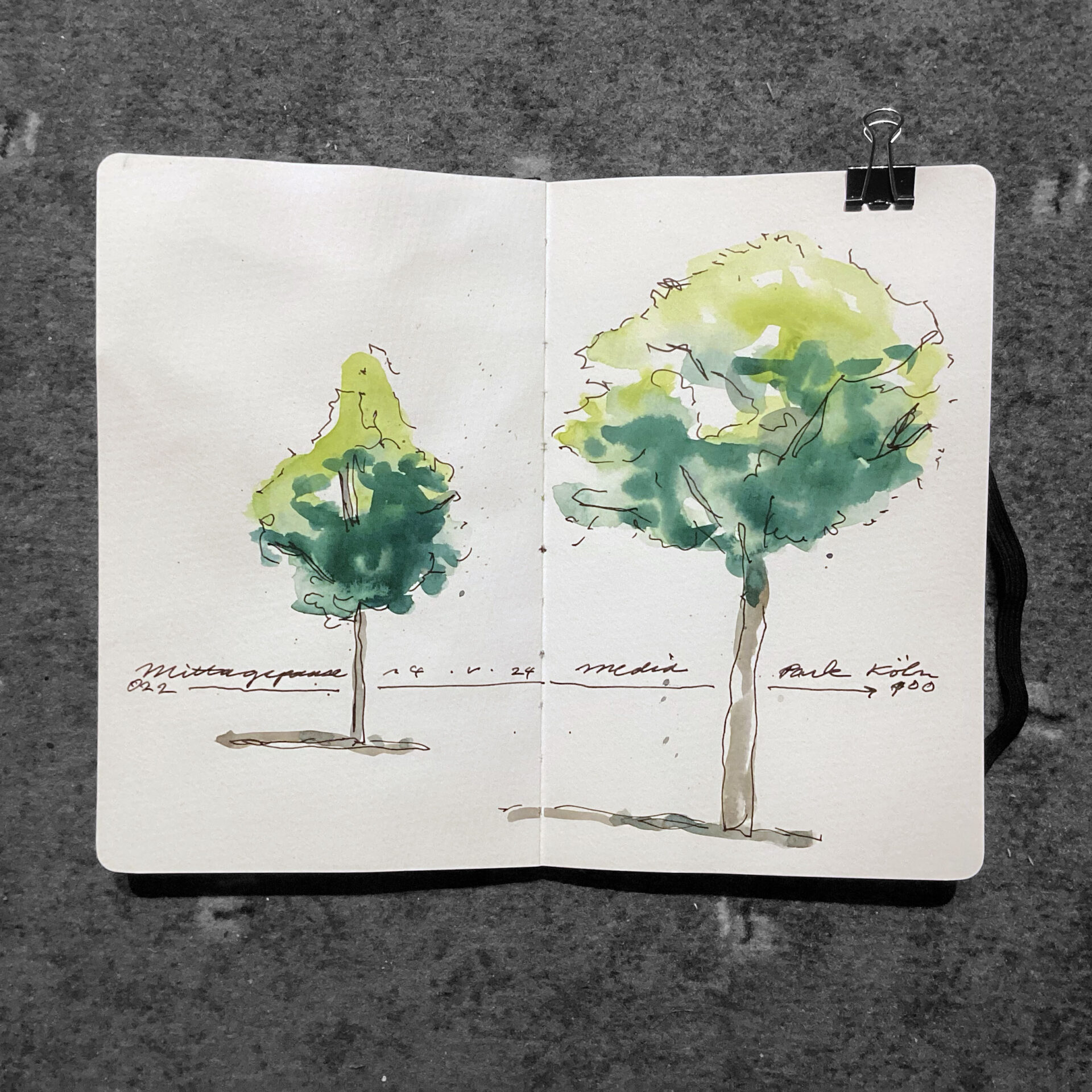 Aquarellstudie: Bäume