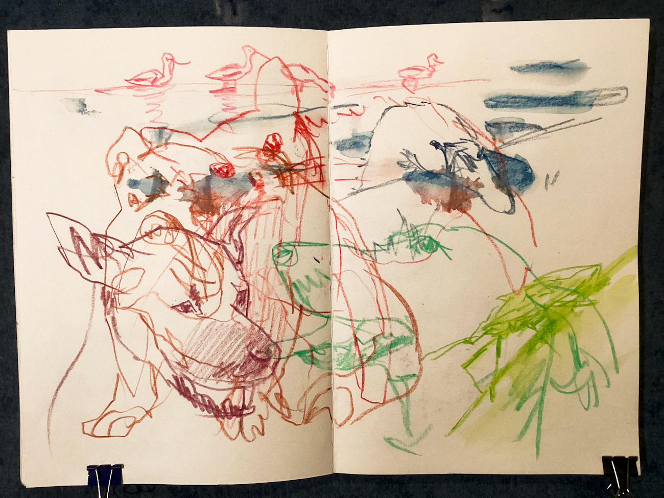 Quick Sketches: Tiere, 07.11.25