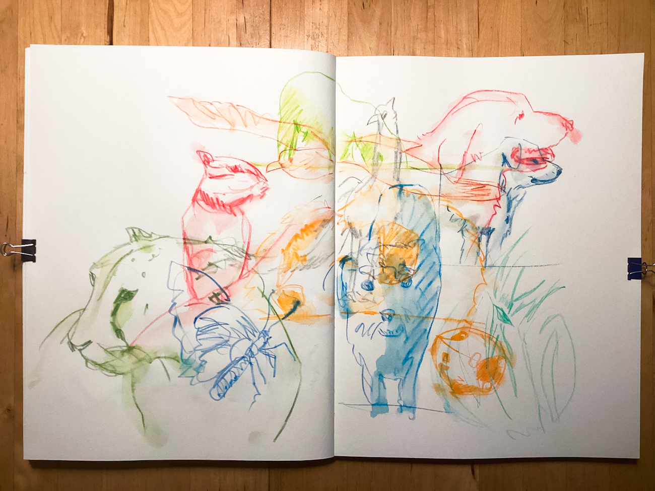 Quick Sketches: Tiere, 14.11.25