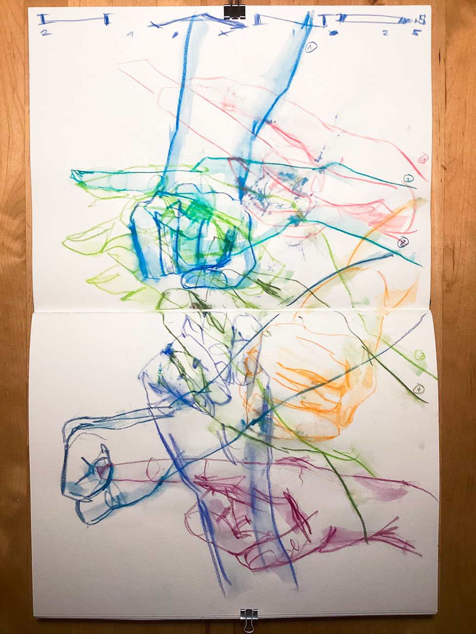 Quick Sketches: Tiere, 21.11.25