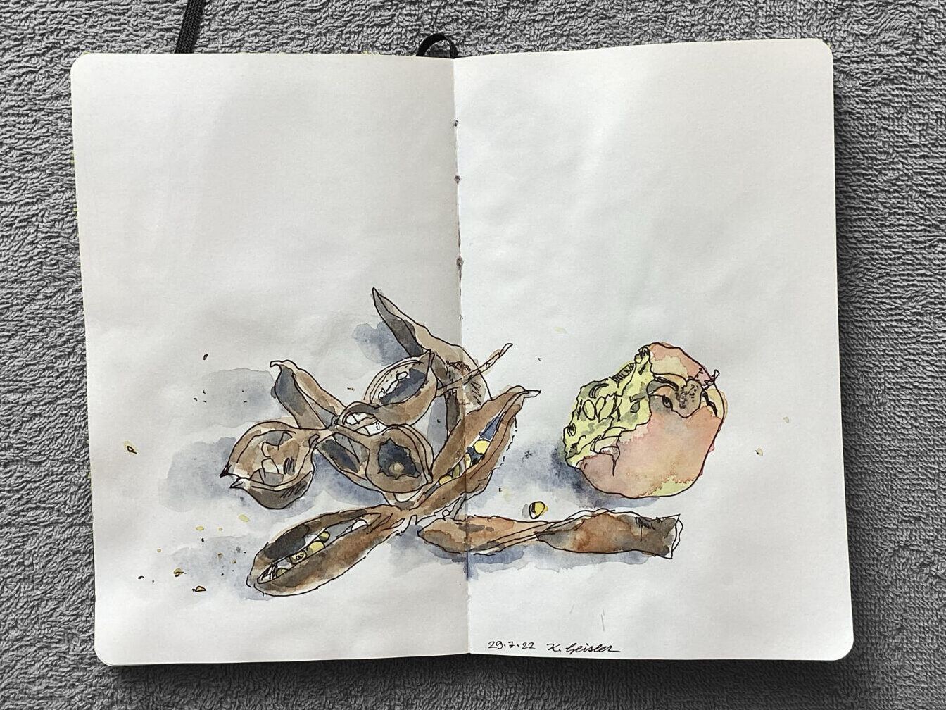 Stillleben mit Granatapfel